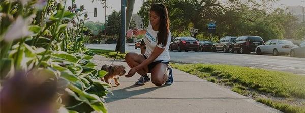 HappyTail Dog Walkers