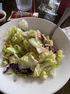 The very sad salad that went with the weight watchers dinner special. Gross... have you no pride?