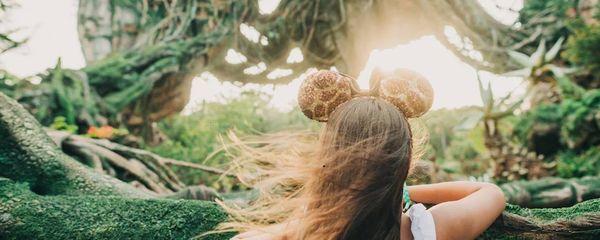 View from the wild in Pandora at Disney's Animal Kingdom Theme Park