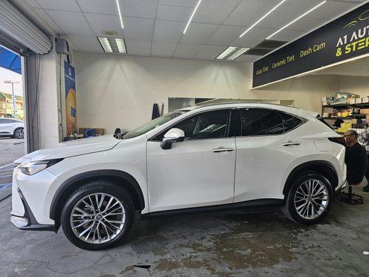 20% Ceramic IR Lexus NX