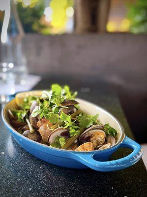 Hama Hama Clams | n'duja sofrito, pickled garlic scapes