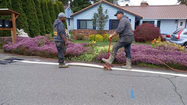 Rolling the solution into the liner.