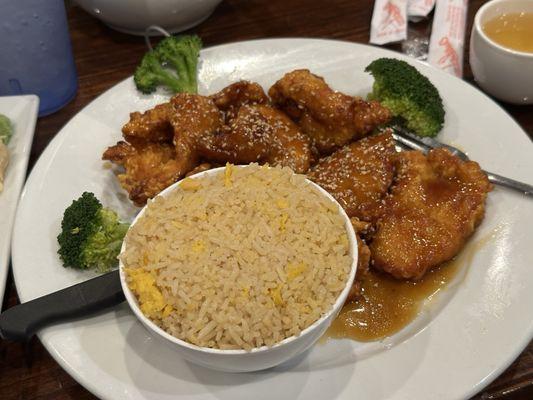 Sesame Chicken & Fried Rice