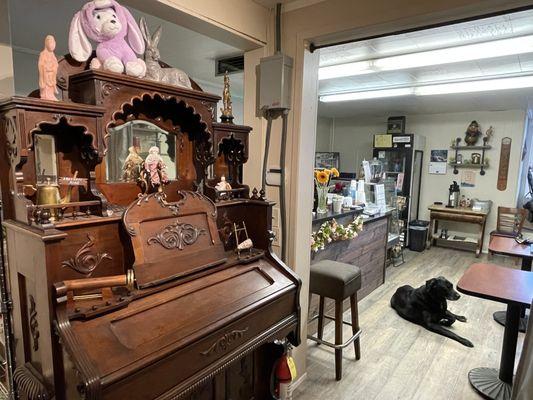 Inside the shop featuring the Pump Organ and the house Dog Shasta.