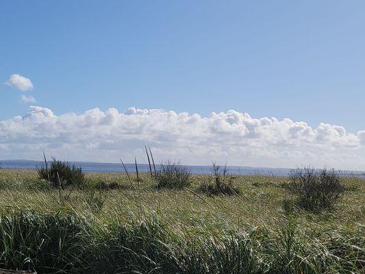 View from the grassy beach