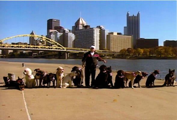 Mr. O breaking Guinness World Record for walking most dogs at one time.  Oct 2011