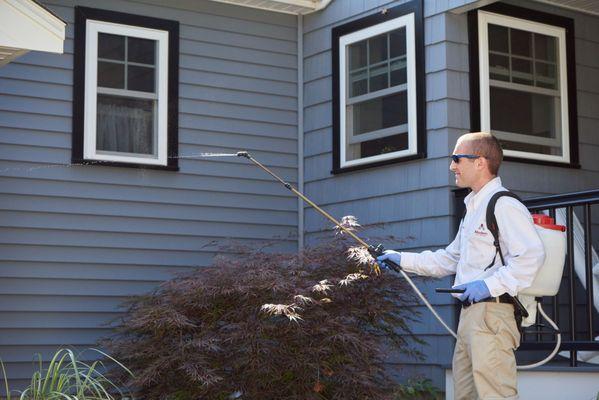 Service professional providing exterior home treatment