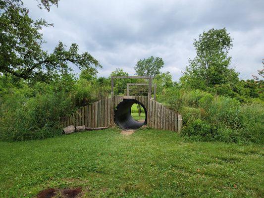 Tunnel and bridge near playground