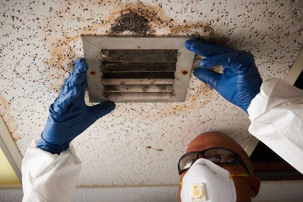 Water, Fire, and Mold restoration and mitigation