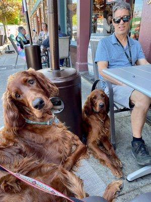 Lucy, Ricky and Dad enjoying the day at the Bohemian!