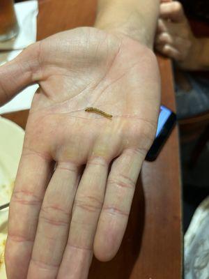 Mealworm found in food