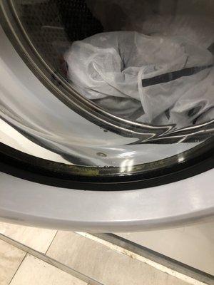 Green mold at bottom of washer glass door. The managing agent Jazmine took a photo of the top of the door where there is no mold.