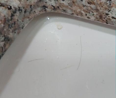 Hair in sink