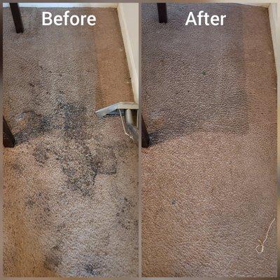 Right 4 You carpet cleaning