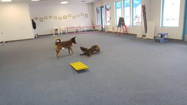 A bit of play time between lessons!