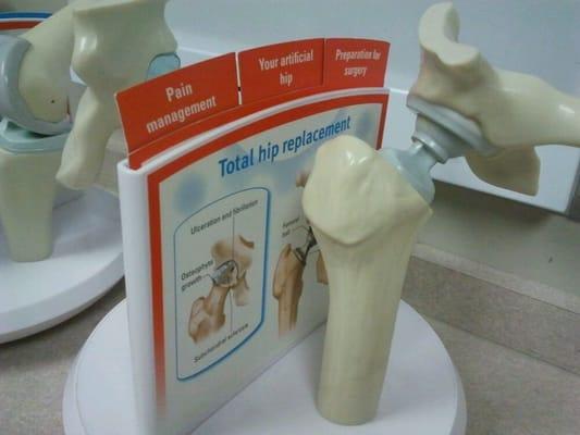 Hip joint