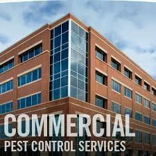 Got Pest Call W.L Pest Control!