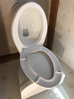 a very clean toilet!