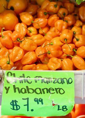 Gorgeous habaneros (Love to live a life of pain hahaha) Note: Habaneros are homeopathic Antibiotics NATURAL MEDICINE