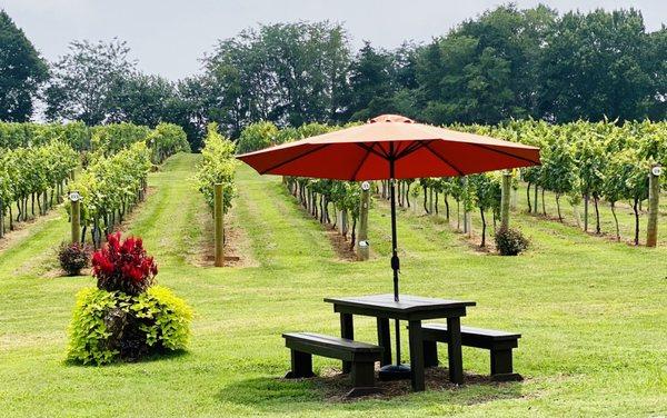 Outside sitting area.