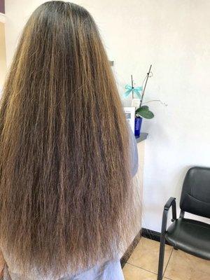 Long Hair with Caramel Gold Light Streaks