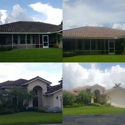 You're looking at a roof that we cleaned using our non pressure soft wash process