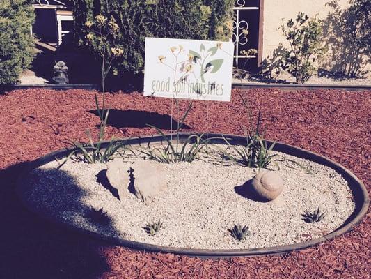 New centerpiece for drought tolerant landscape