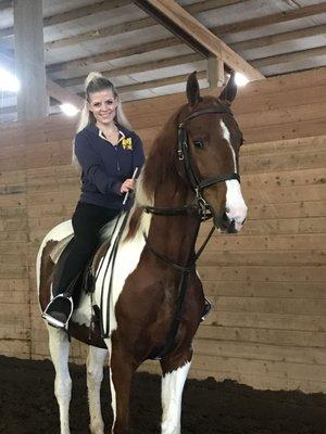 Whether you prefer; Morgan or Saddlebred, Saddleseat or Western, Driving, Equitation, or Pleasure, Sterling Hill can meet your needs.