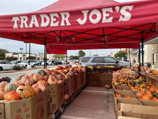 Halloween  @ Trader Joes