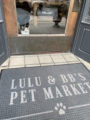 Lulu & BB's Pet Market