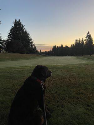 Morning in the course