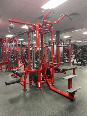 Life Fitness 12 station rig and 2 dual adjustable pulleys.