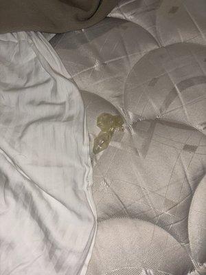 Dirty condom found in our bed.