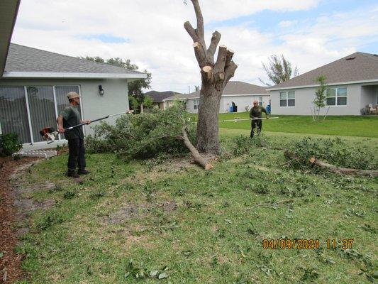 Tim's Tree Service