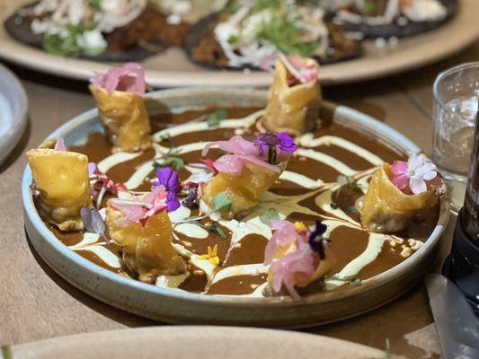 Birria dumplings