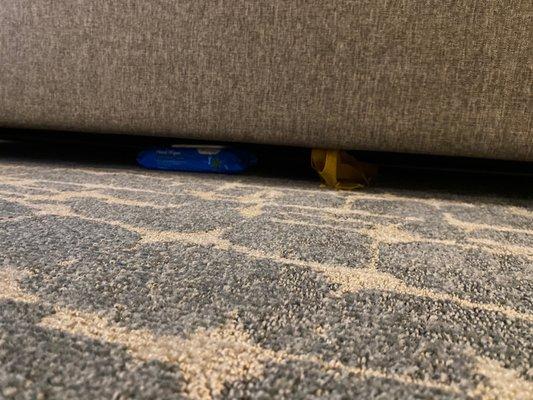 Sh!t under the couch