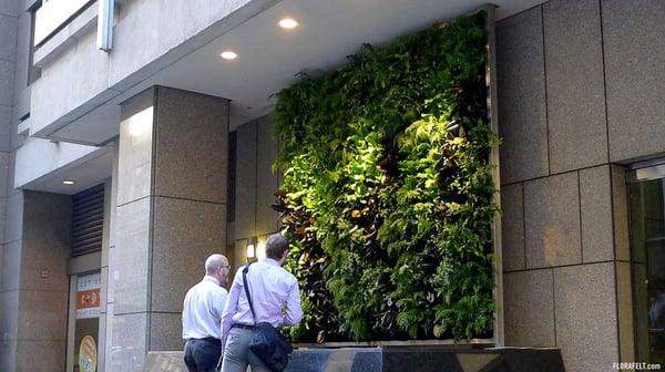 Florafelt Vertical Garden, CBRE Office Tower, Downtown San Francisco.