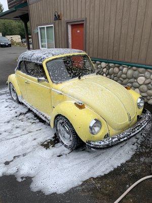 '79 Volkswagen Beetle