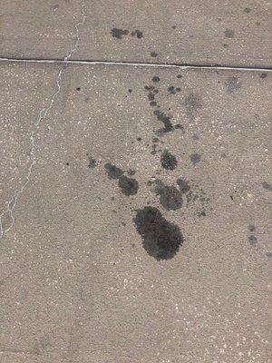 Oil spots left from their truck at our home when they picked up