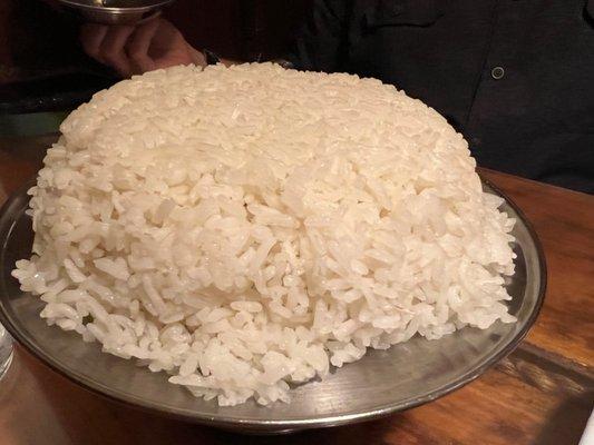 Rice