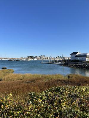 Patio view