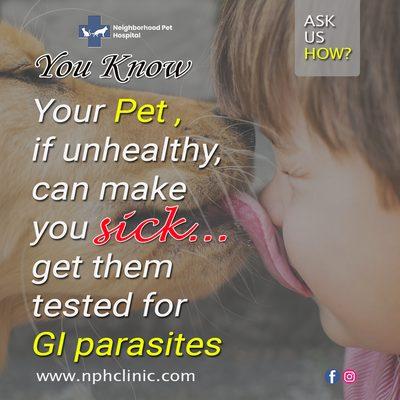 Your Pet , if unhealthy, can make you sick.. get them tested for GI parasites