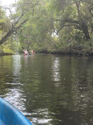 My family and I through the beautiful trees. Just too bad the water is so murky.