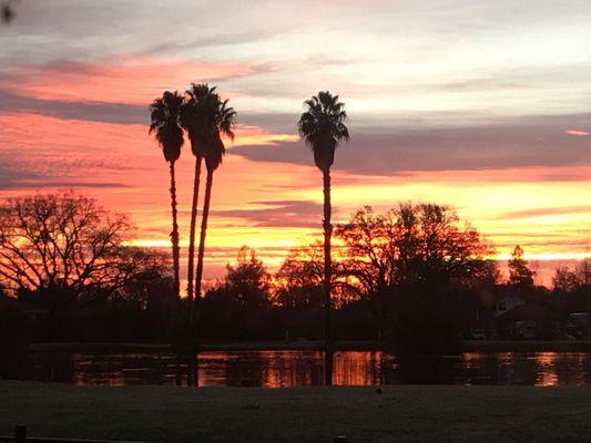 February 9, 2017 2nd fairway 645 am taken on iPhone by Nancy Wickersham