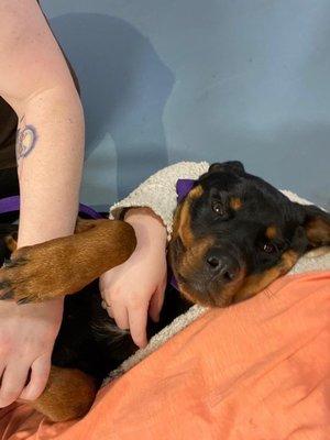 Tequila getting her nails done by the beautiful people at Mercy's!