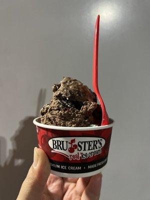 Bruster's Real Ice Cream