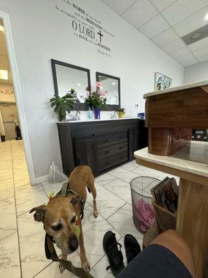 My Brody  and a wonderful Psalm posted on the wall above. He waited patiently while I sat to dry my nails.