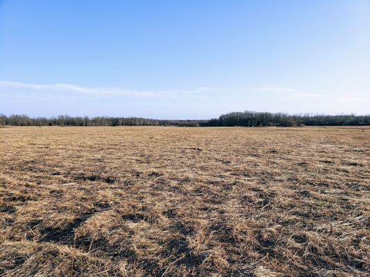 View at Carriage Hill Metropark