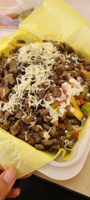 Carne Asada Fries