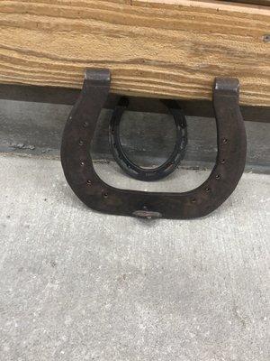 A Clydesdale horse shoe compared to a regular horseshoe